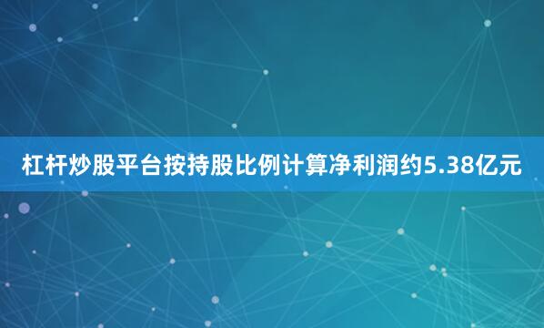 杠杆炒股平台按持股比例计算净利润约5.38亿元