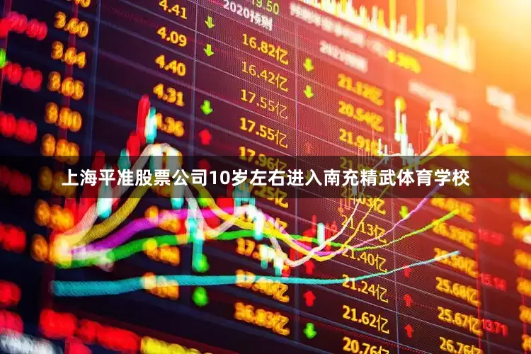 上海平准股票公司10岁左右进入南充精武体育学校