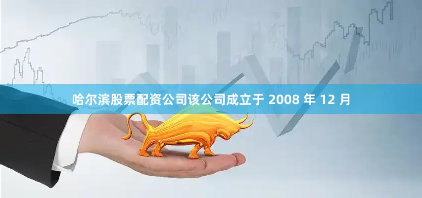 哈尔滨股票配资公司该公司成立于 2008 年 12 月
