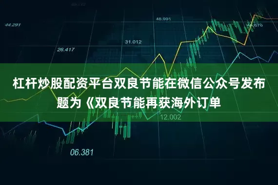 杠杆炒股配资平台双良节能在微信公众号发布题为《双良节能再获海外订单