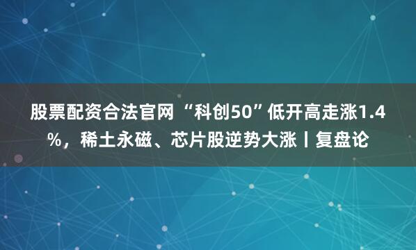 股票配资合法官网 “科创50”低开高走涨1.4%，稀土永磁、芯片股逆势大涨丨复盘论